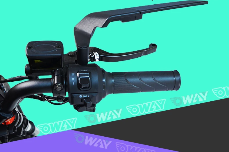 3-Power High-Performance 3000W 60V Smart eBike with Advanced Safety Features, Bluetooth, Anti-Theft Alarm