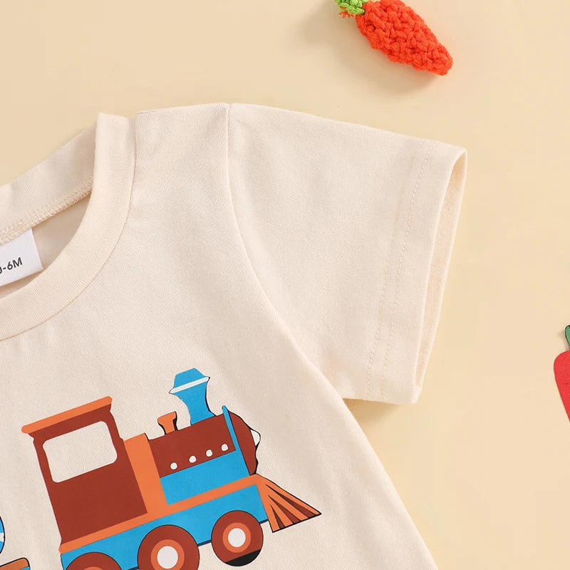 Boy's Easter Eggs/Bunny/Carrot/Tractor T-Shirt & Shorts Sets