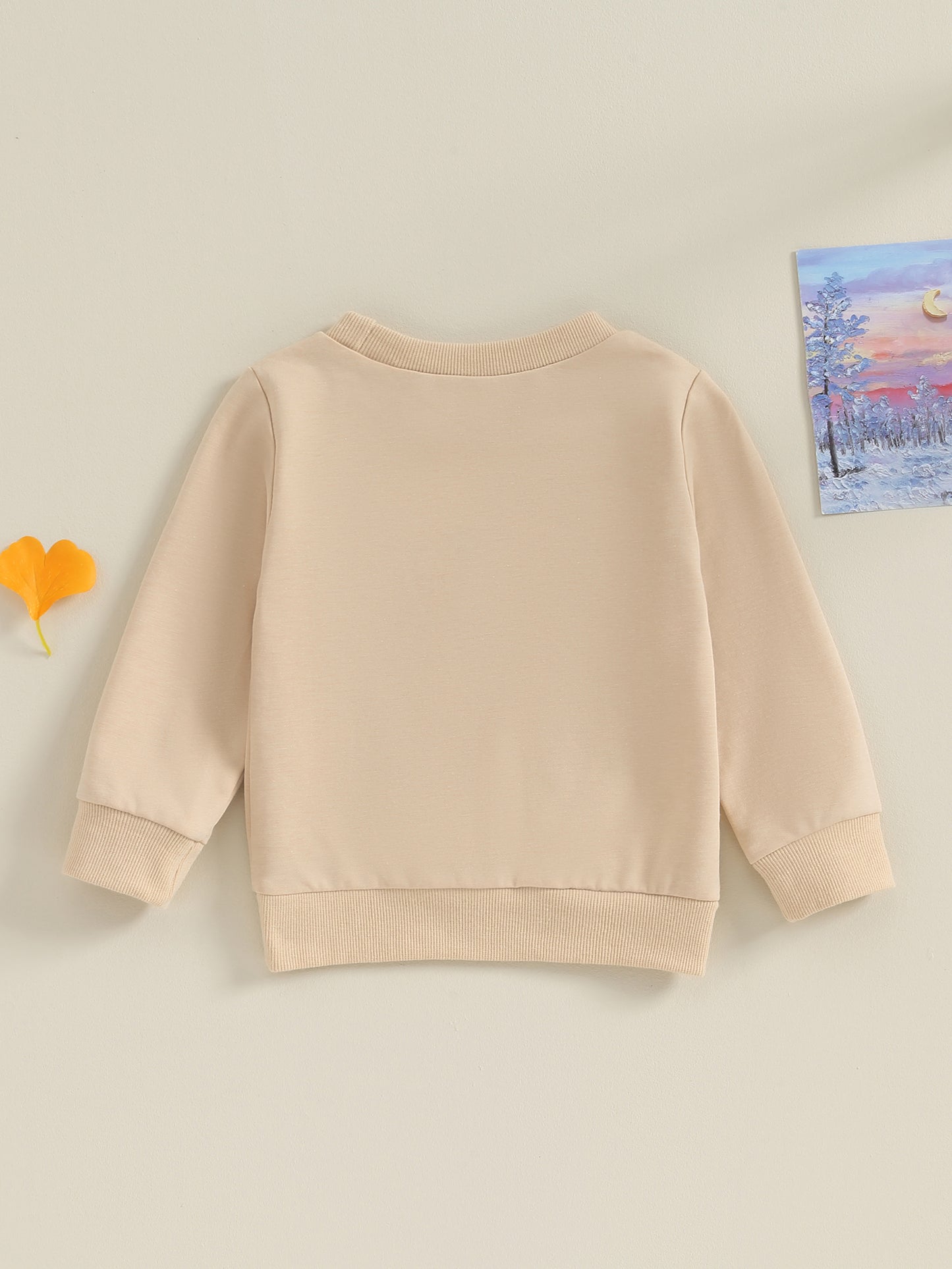 Family Matching! Boy's "Big Bro" Brother Sweatshirts