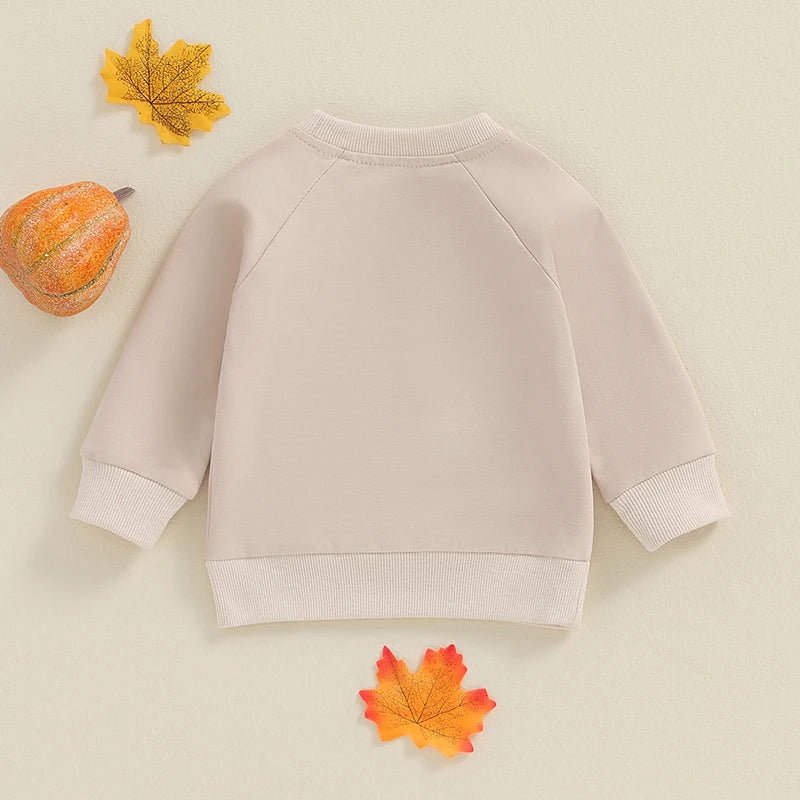 Girl's & Boy's Embroidered Pumpkin Halloween Sweatshirts