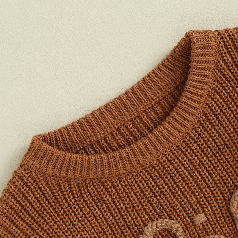 Girl's "Big Sister" Family Matching Sibling Sweaters