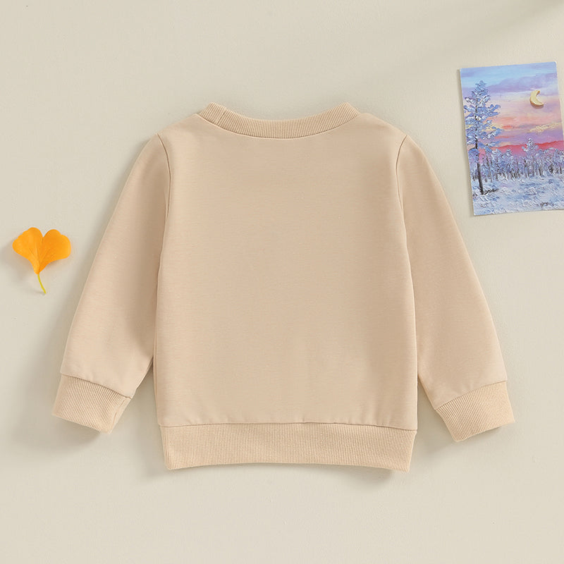 Family Matching! Boy's "Big Bro" Brother Sweatshirts