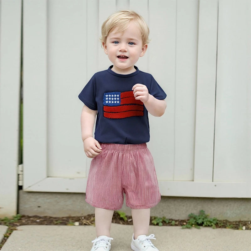 Boy's 2-Piece 4th of July Embroidered Flag T-Shirts & Plaid Shorts Sets
