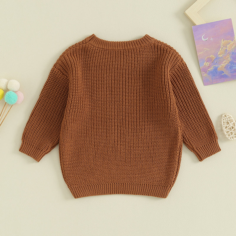 Girl's "Big Sister" Family Matching Sibling Sweaters