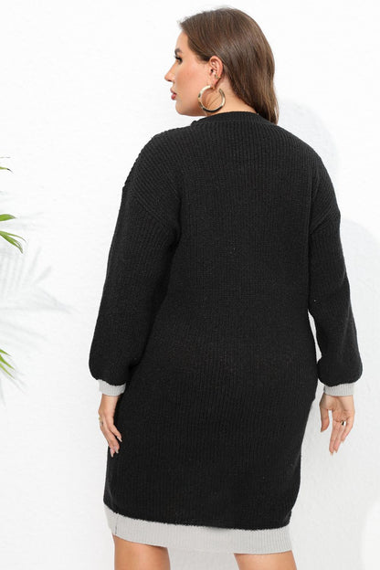 Plus Long Sleeve Sweater Dress