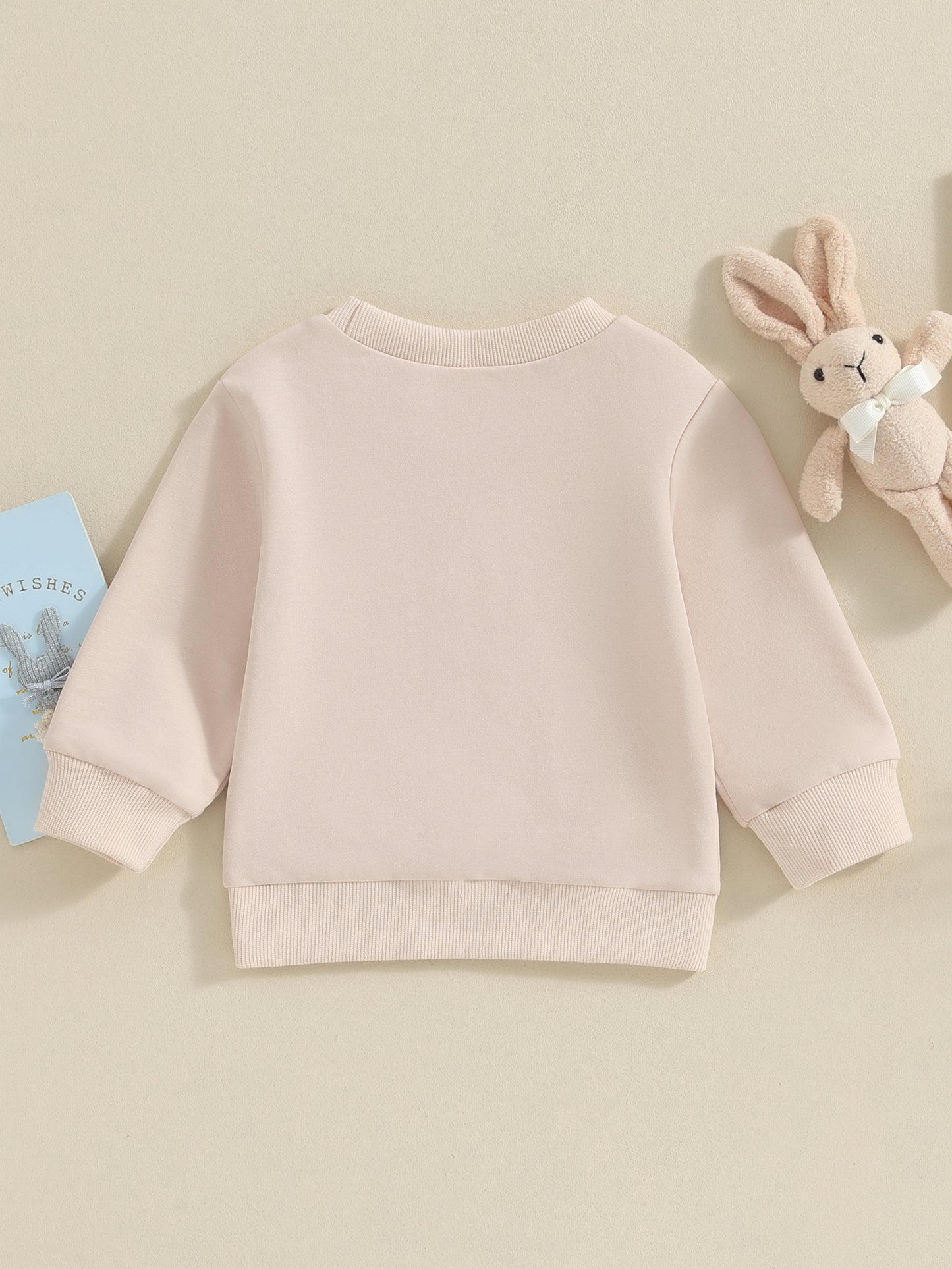 Boy's & Girl's Easter Sweatshirts