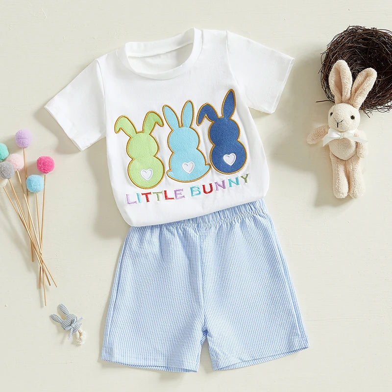 Boy's Easter Bunny T-Shirt & Shorts Sets