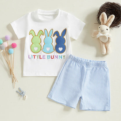 Boy's Easter Bunny T-Shirt & Shorts Sets