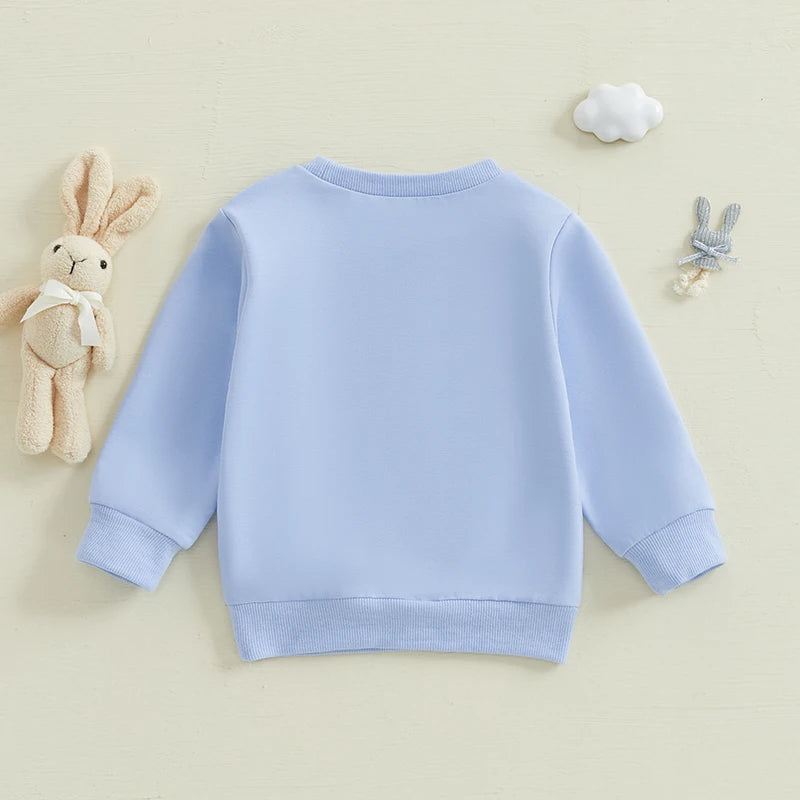 Boy's & Girl's Embroidered Easter Bunny Sweatshirts