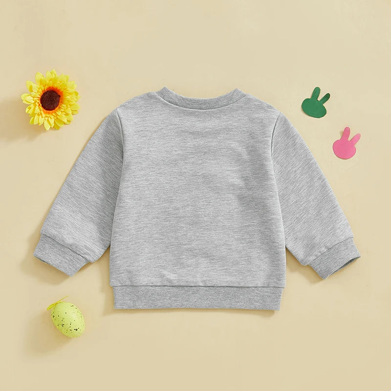 Girl's & Boy's Embroidered Easter Bunny Sweatshirts