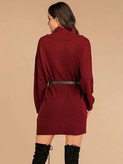 Slit Turtleneck Long Sleeve Mini Sweater Dress