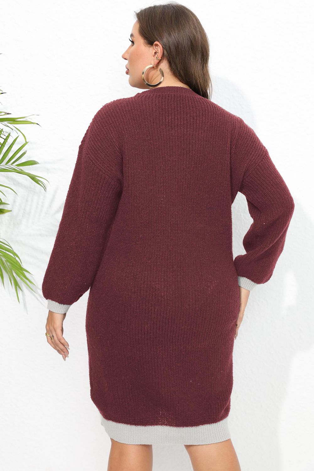 Plus Long Sleeve Sweater Dress