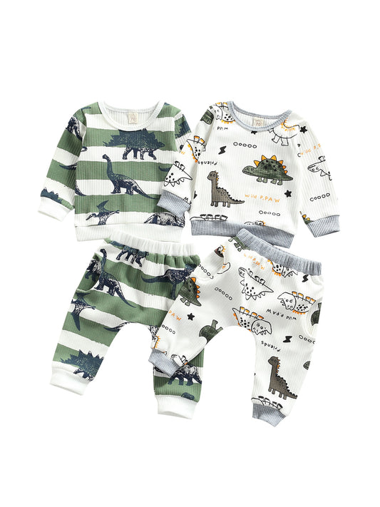 Baby Dinosaur Long Sleeve Top + Pants Set