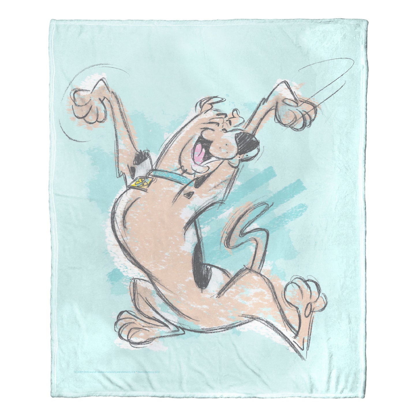 Warner Bros. Scooby-Doo Joyful Scooby Throw Blanket 50"x60"